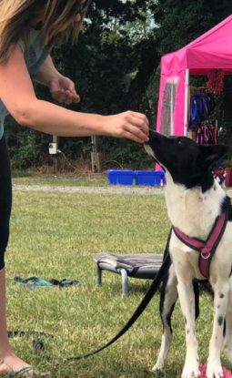 Start your Training Session the Right Way