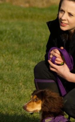 Which Dog Training Class do I choose?