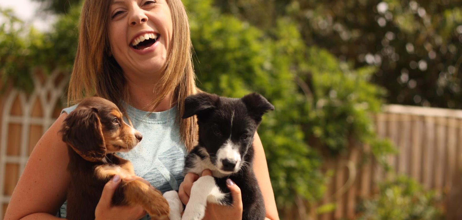 Dog training classes and home boarding in bourne, lincolnshire and peterborough with on the ball dog behaviour and training