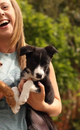 What to do on your Puppy’s First Night!