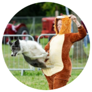 Lorna Hayes Dog training classes and home boarding in bourne, lincolnshire and peterborough with on the ball dog behaviour and training