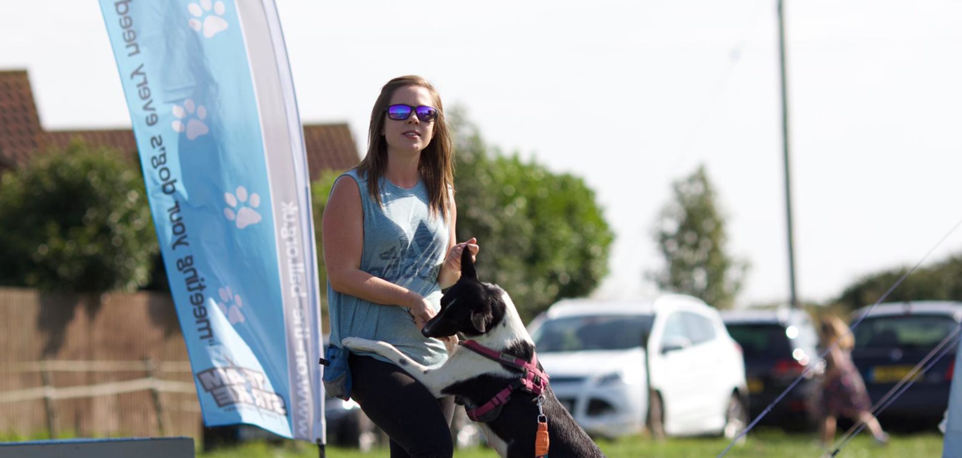 Dog training one to one in bourne, lincolnshire and peterborough with on the ball dog behaviour and training